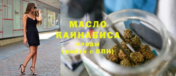 мет Алексин