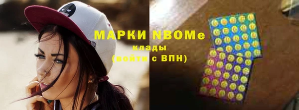 мет Алексин