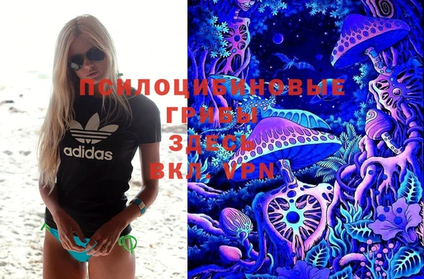 мет Алексин