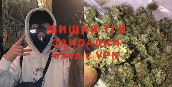 мет Алексин