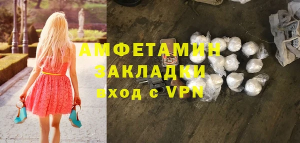 мет Алексин
