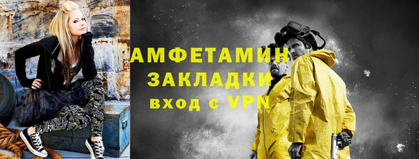 мет Алексин