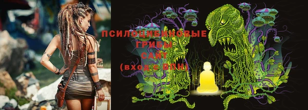 мет Алексин