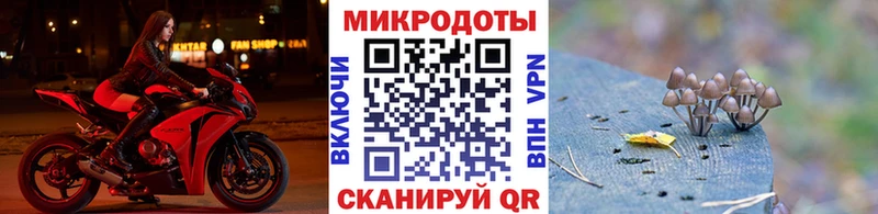 Псилоцибиновые грибы мицелий Гдов